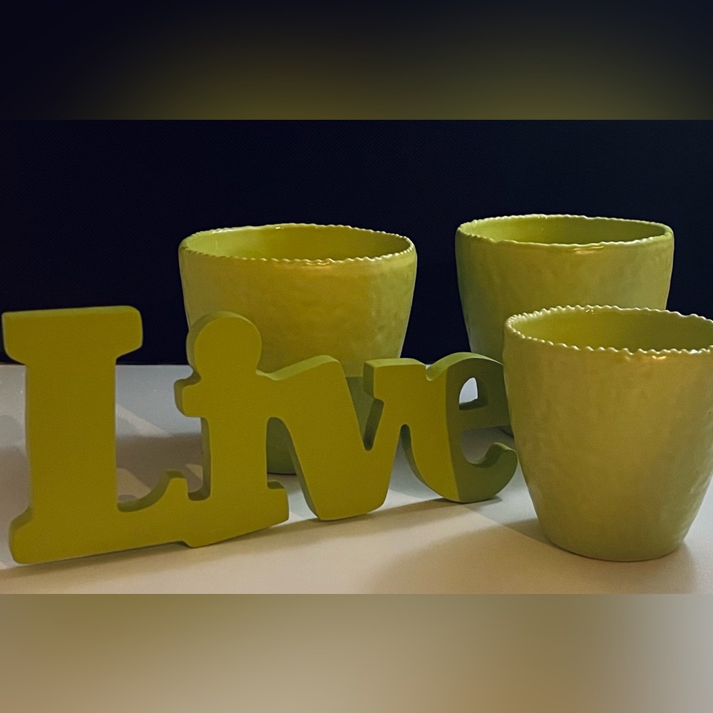 Unknown Brand Mini Planters Set Of Three